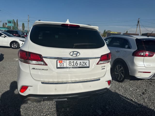 Hyundai Maxcruz, 2018