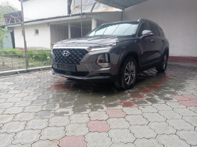 Hyundai Santa Fe IV, 2019