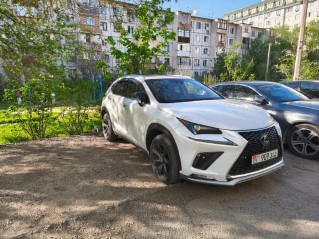 Lexus NX I Рестайлинг, 2019