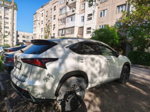 Lexus NX I Рестайлинг, 2019