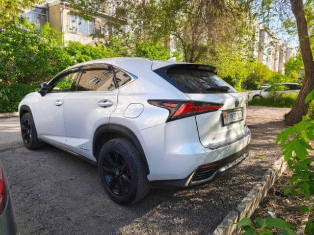 Lexus NX I Рестайлинг, 2019