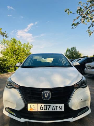 Changan Alsvin, 2020