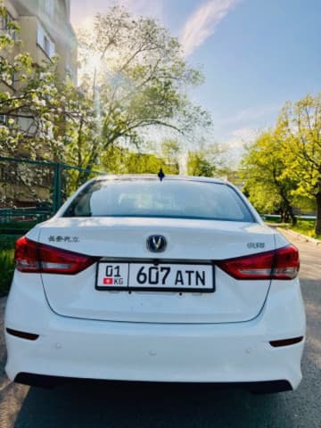 Changan Alsvin, 2020