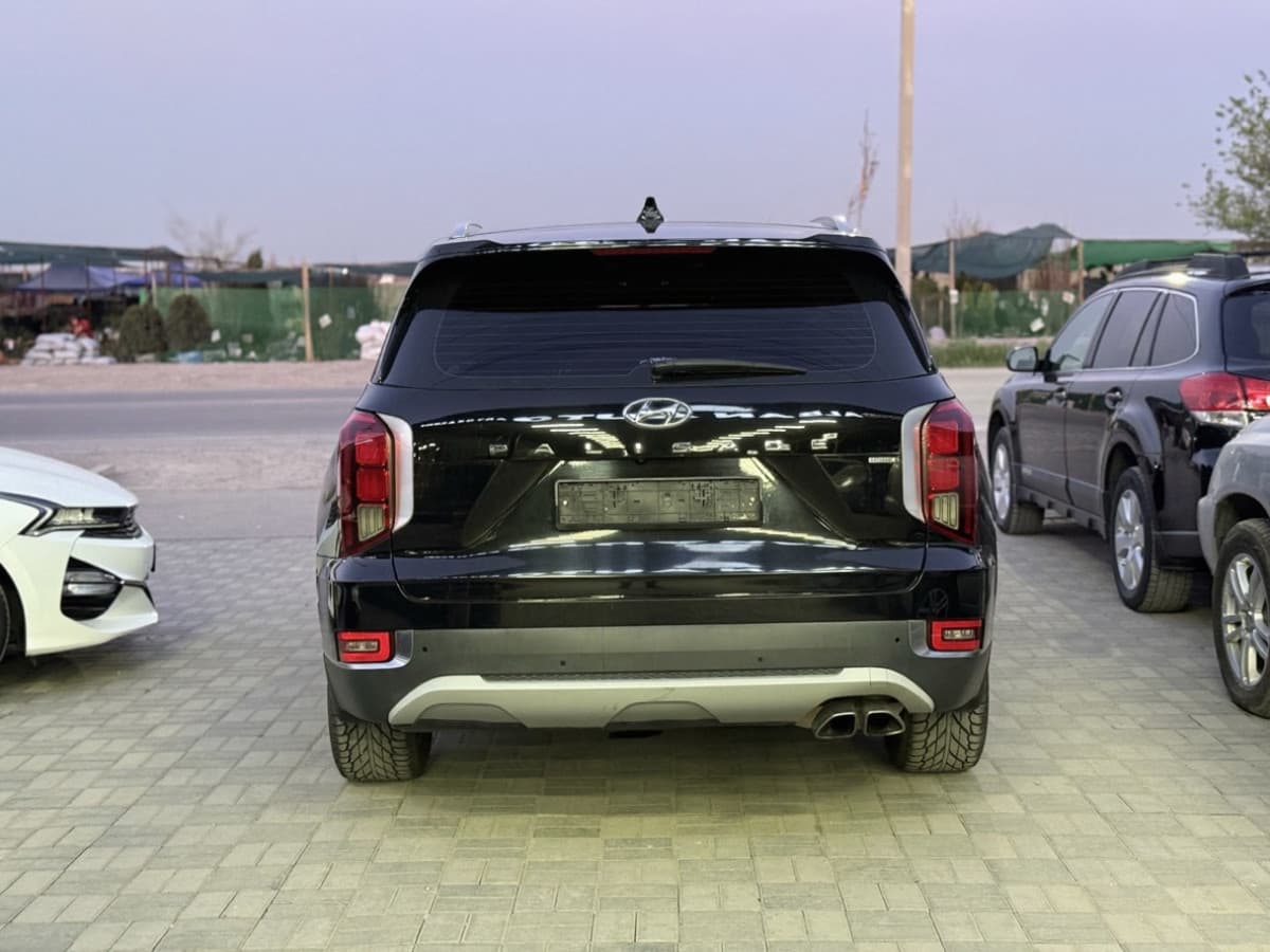 Hyundai Palisade I, 2020