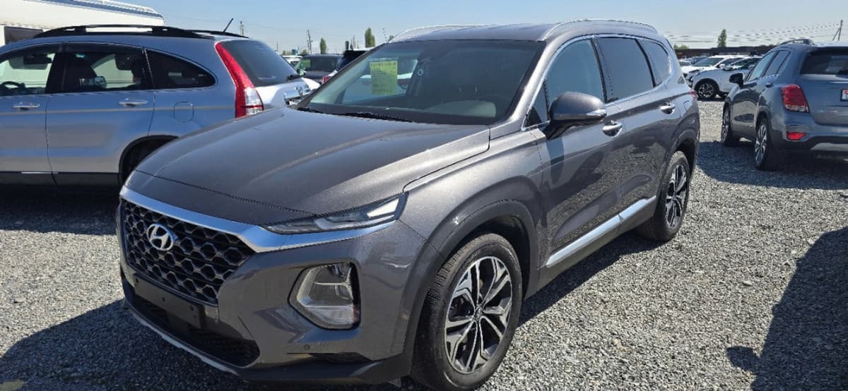 Hyundai Santa Fe IV, 2020