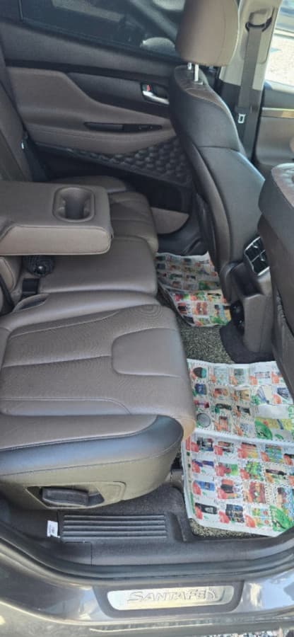 Hyundai Santa Fe IV, 2020