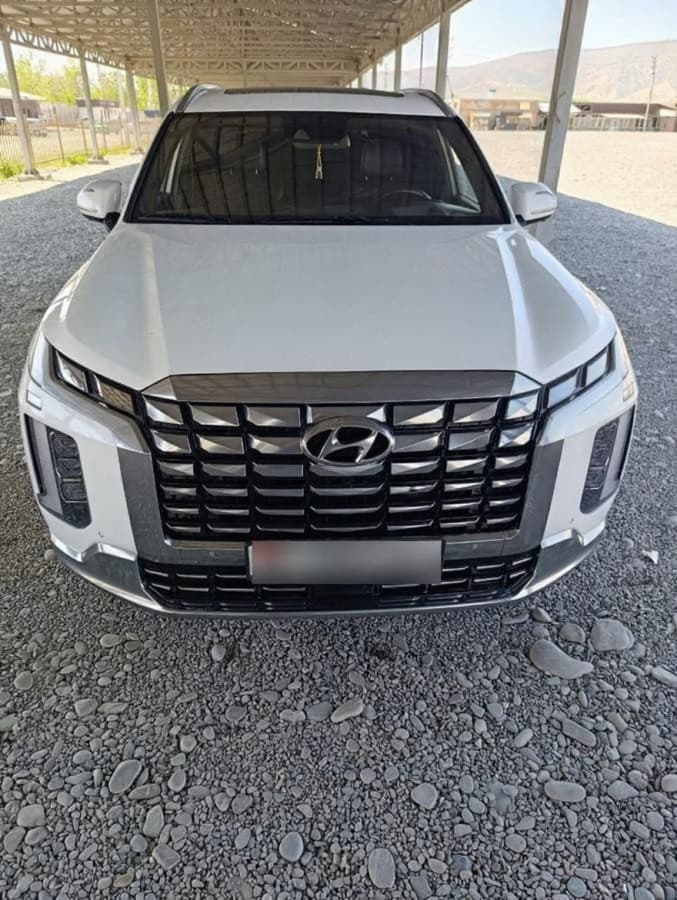 Hyundai Palisade I, 2021