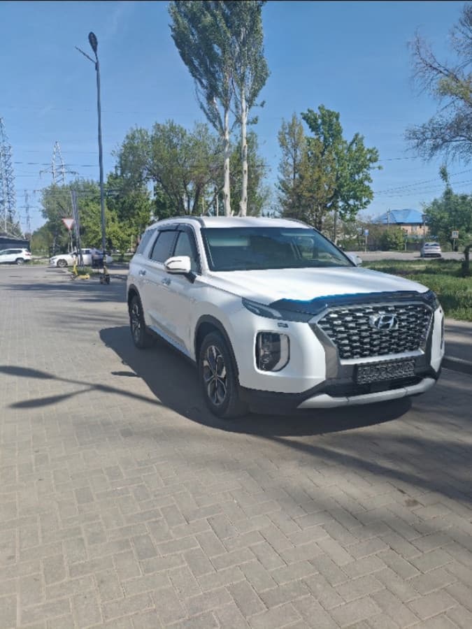 Hyundai Palisade I, 2019