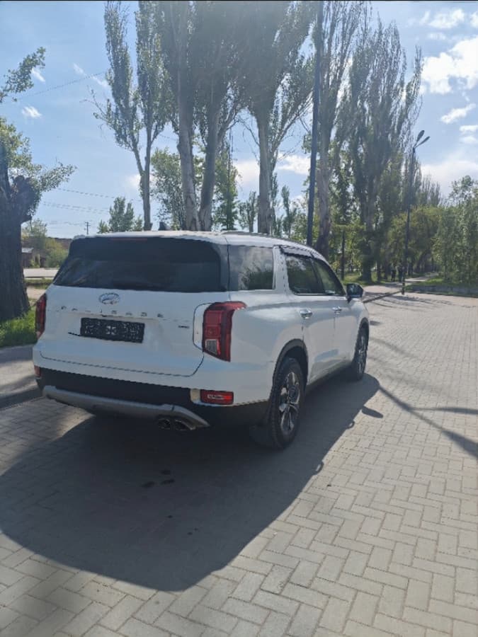 Hyundai Palisade I, 2019
