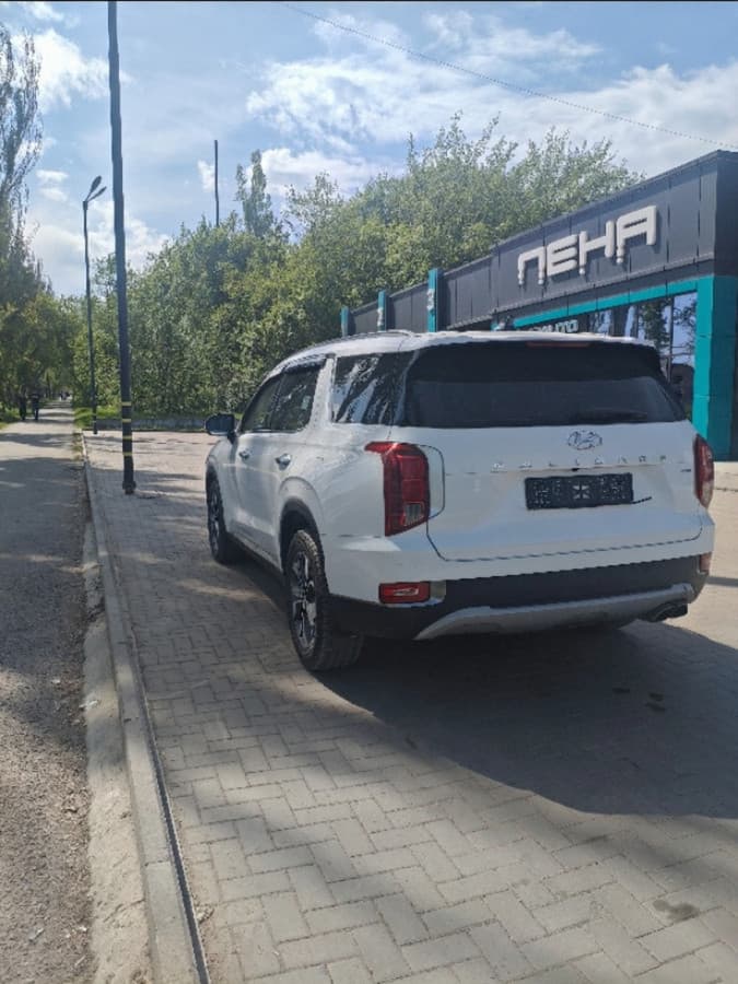 Hyundai Palisade I, 2019