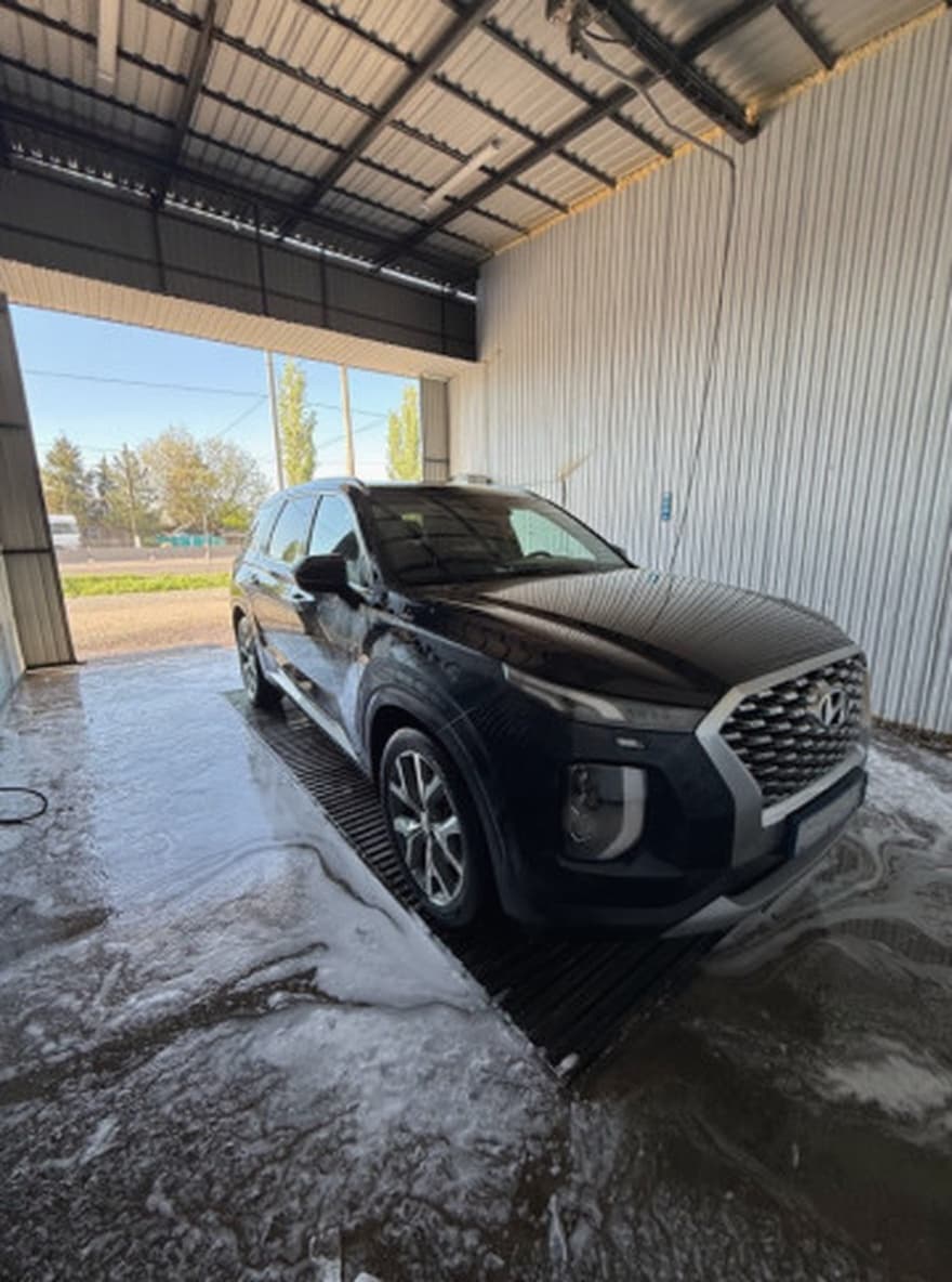 Hyundai Palisade I, 2020