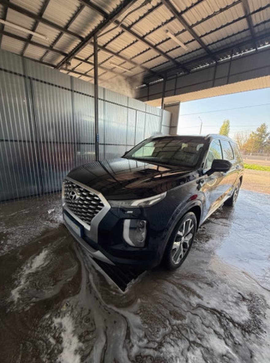 Hyundai Palisade I, 2020